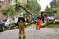Feuerwehr_Baum   015